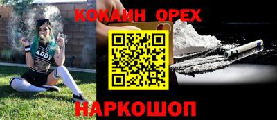шишки Конаково