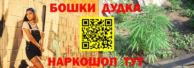 шишки Конаково