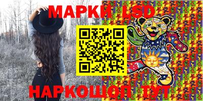 шишки Конаково